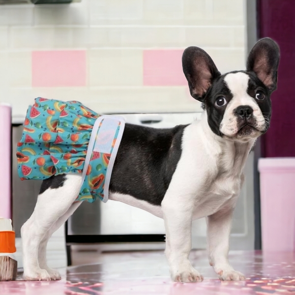 🐾 Dog Washable Reusable Female Dog Diaper Dress, New - Picture 1 of 8